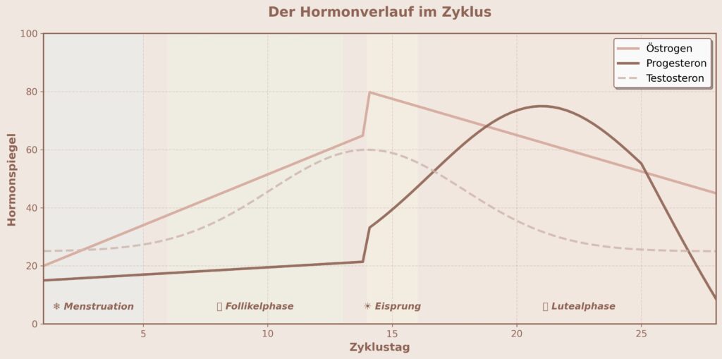 Hormonkurve Lutealphase