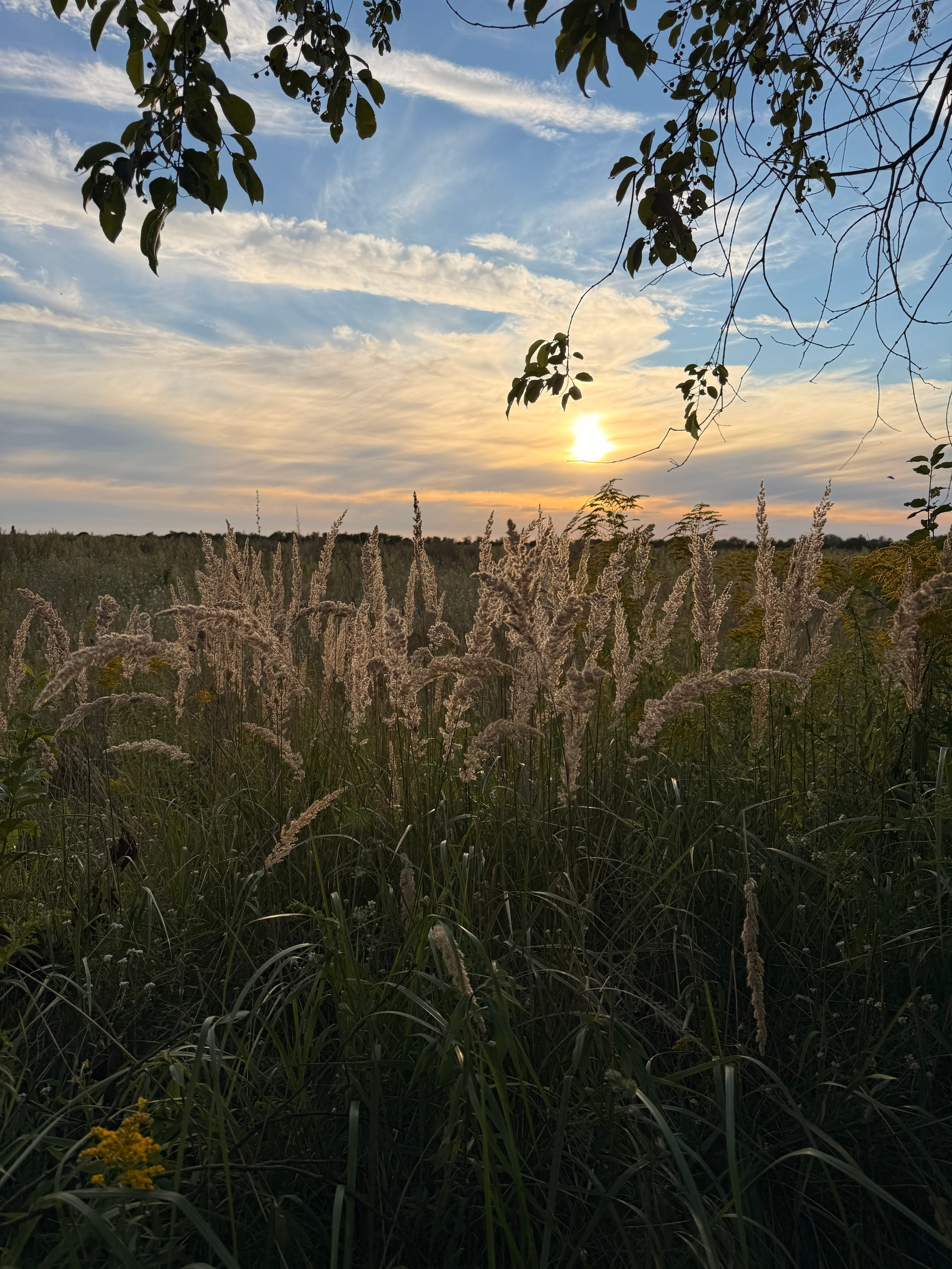 Regulation Nervensystem